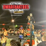 Most Popular Mini Wrestling